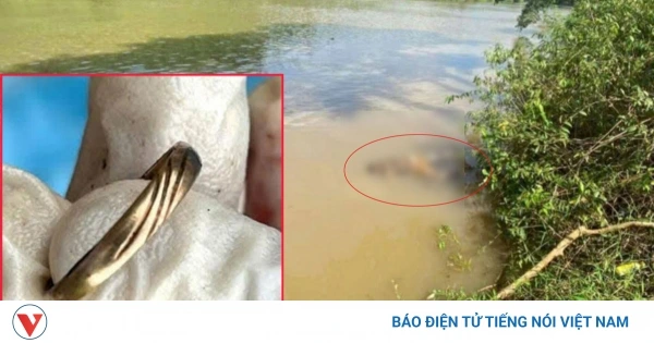 Mô tả nạn nhân