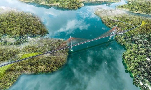 Chi tiết sự việc